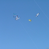 Penvins-festival -2006 -0316
